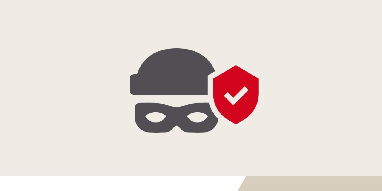 Ein Icon stellt einen Dieb und ein Schutzschild dar.