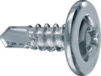 S-DD 03 Z 02 Metallprofilschraube mit Tellerkopf für den Innenbereich (verzinkt) zum Befestigen von Bolzen an Profilen