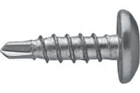 Metallbau-Selbstbohrschrauben S-MD 01 LPS Selbstbohrschraube mit Linsenkopf (A2 Edelstahl) ohne Unterlegscheibe für dünne Metall-auf-Metall-Befestigungen (bis 4 mm)